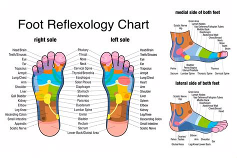 home reflexology massage therapist gold coast CALL NOW! 0419609232 or 07 55361253